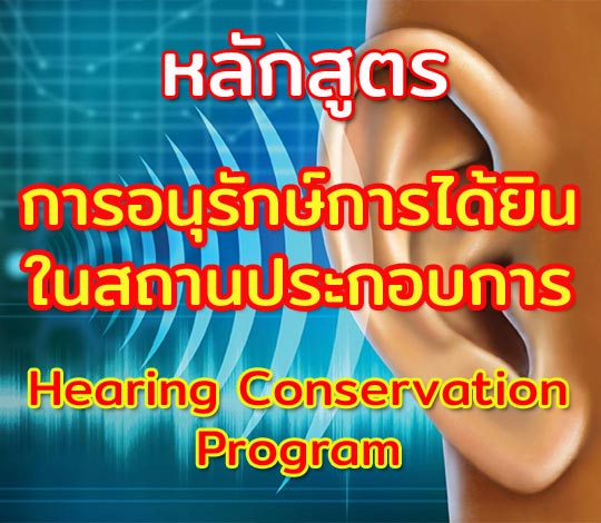 หลักสูตร การอนุรักษ์การได้ยินในสถานประกอบการ Hearing Conservation Program