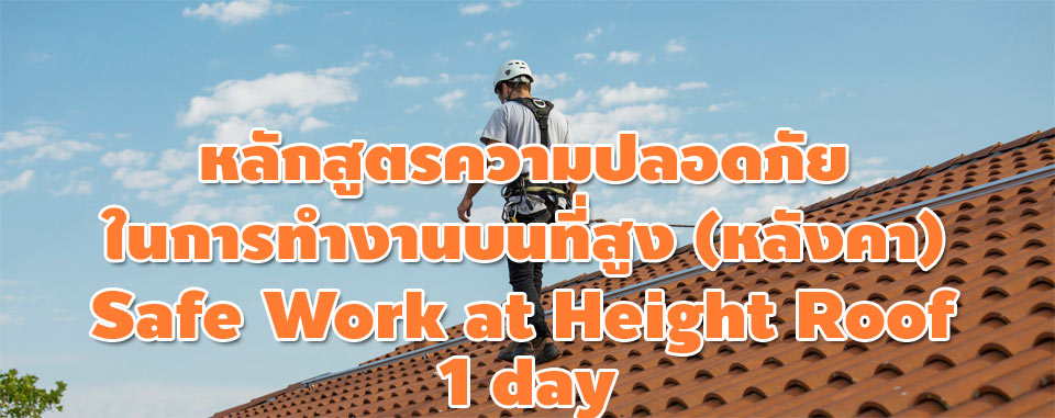 ความปลอดภัยการทำงานบนหลังคา